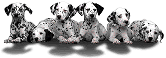 funpups