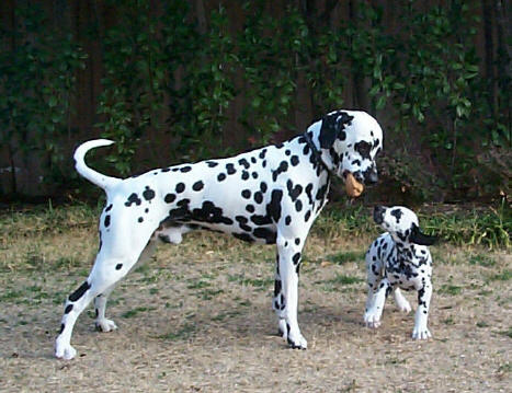 parker and summer