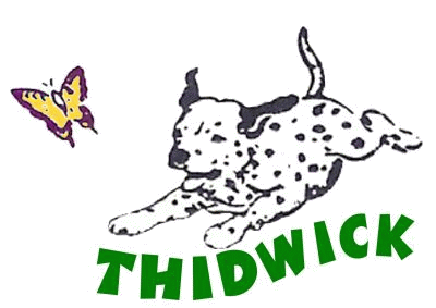 thidwick dalmatians logo